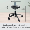 Stolička balanční Leitz Ergo s kolečky, černá