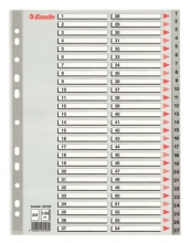 Roztřiďovač plastový Esselte A4, 1-54, šedý