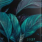 Tropic