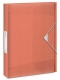 Box na spisy Esselte Colour´Ice 25 mm, ledový oranžový