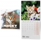 Kalendář nástěnný, Kočky 2024