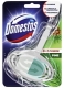 Závěs na WC Domestos blok, 40 g, Pine